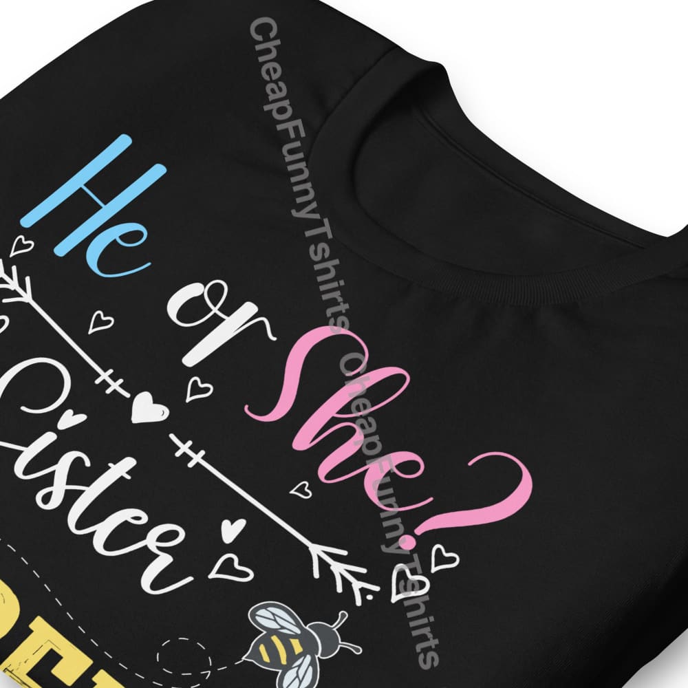 He or She Sister To Bee Unisex t-shirt T-Shirt