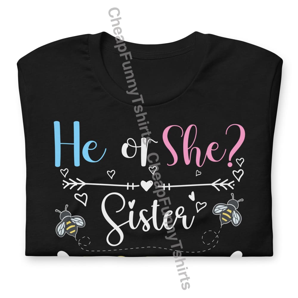 He or She Sister To Bee Unisex t-shirt T-Shirt