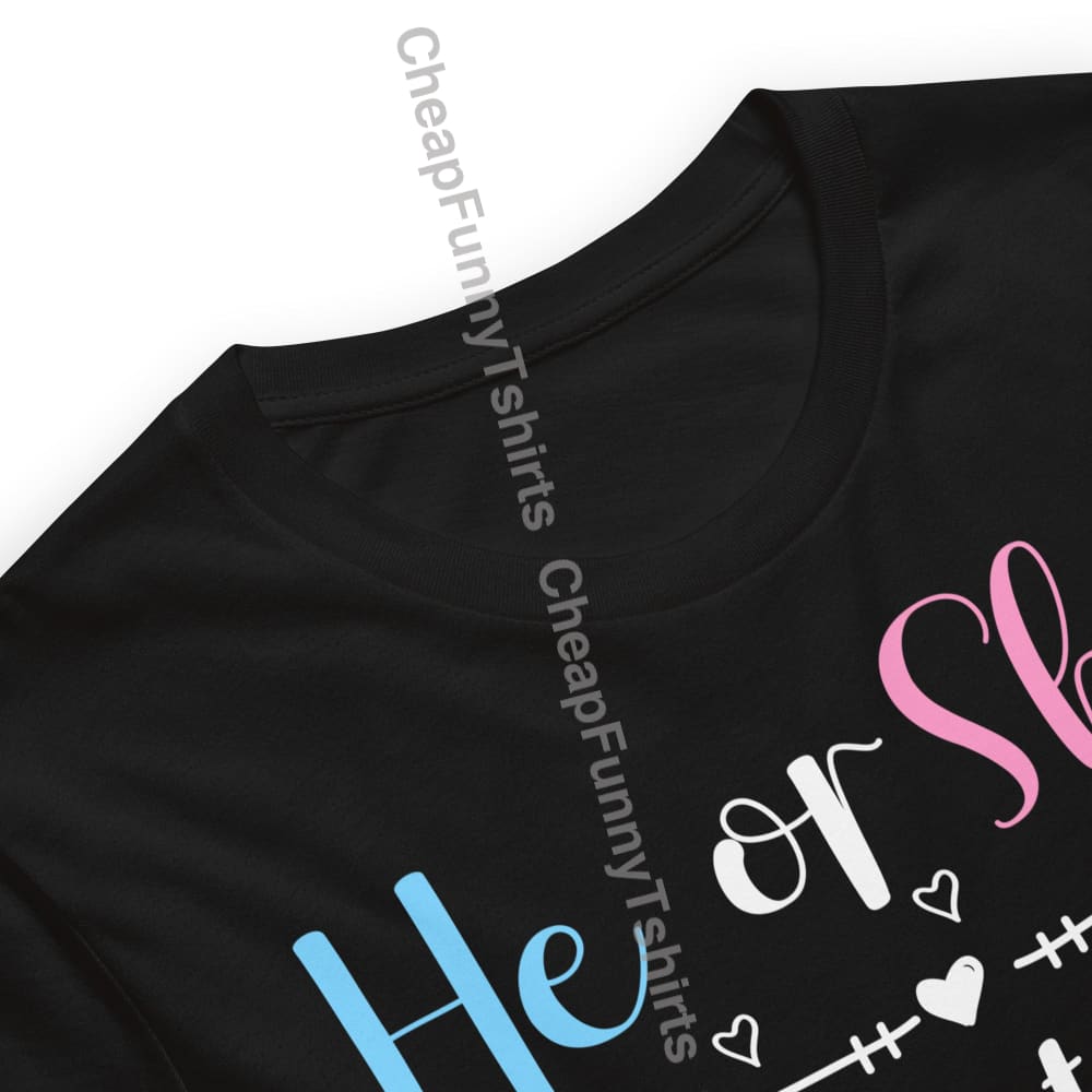 He or She Sister To Bee Unisex t-shirt T-Shirt