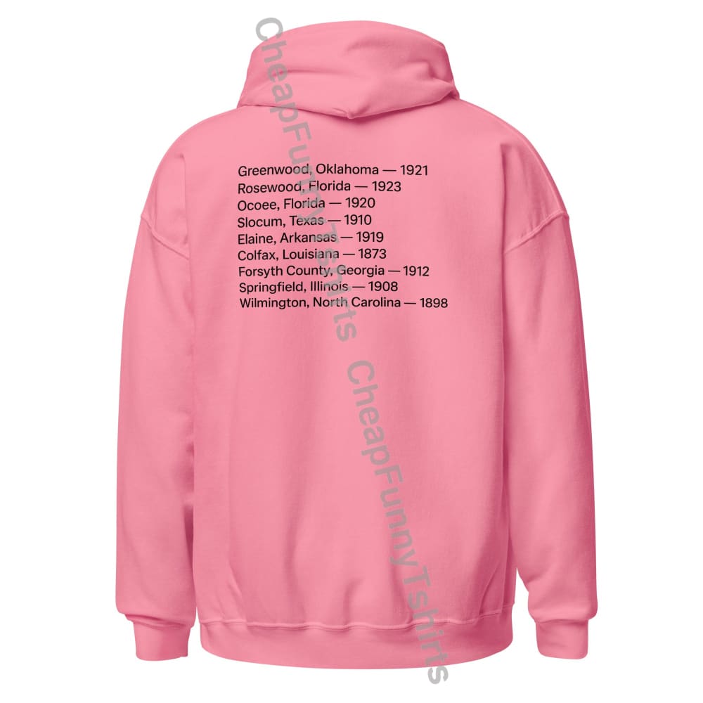 We Remember What They Tried To Erase Unisex Hoodie